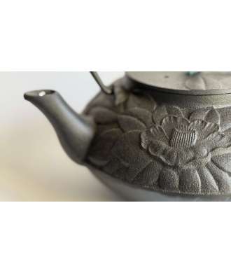 Cast iron teapot Ajiro Tsubaki - Black