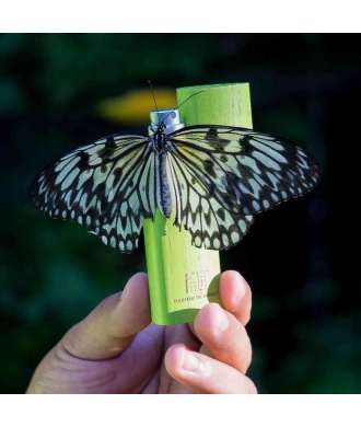 SAUDADE - AMAZONIA Eau de Parfum - 11 ml