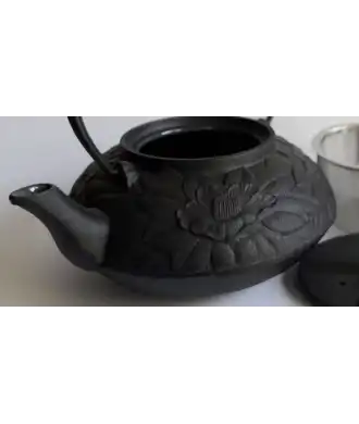 Teiera Oigen in ghisa Ajiro Tsubaki -  Nero