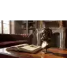 Busto decorativo 2 — Decorazione Luxury | Maison Imperiale