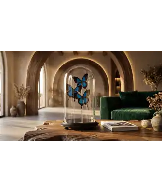 Papillons Bleus sous Cloche en Verre 0 —  Décoration Luxury | Maison Imperiale