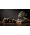 Khaki Porcelain Set with Wooden Handles 1 —  Decoration Luxury | Maison Imperiale