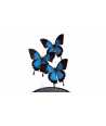 Blue Butterfly Glass Dome Décor 3 —  Decoration Luxury | Maison Imperiale