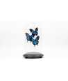 Blue Butterfly Glass Dome Décor 8 —  Decoration Luxury | Maison Imperiale