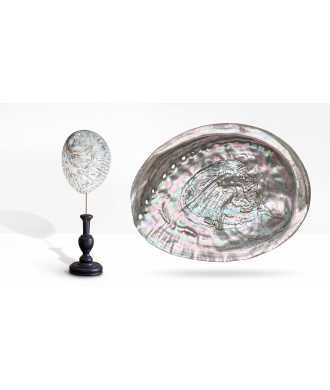 Coquille Abalone Midae Argentée 6 —  Décoration Luxury | Maison Imperiale