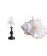 Medium Baroque Murex Ramosus Shell 8 —  Decoration Luxury | Maison Imperiale