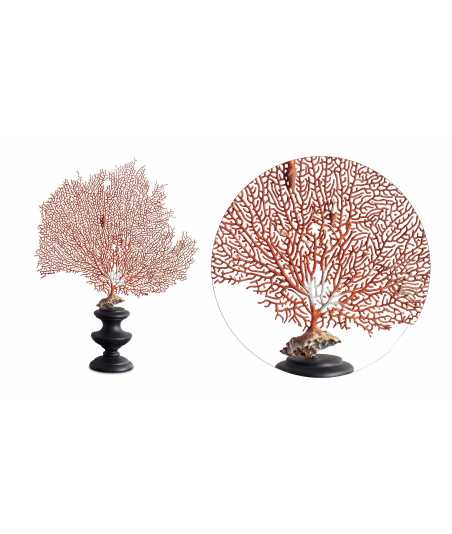 Small coral gorgonian 5 —  Decoration Luxury | Maison Imperiale