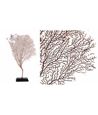 Gorgone Corail Moyen 5 —  Décoration Luxury | Maison Imperiale