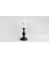 Medium Baroque Murex Ramosus Shell 3 —  Decoration Luxury | Maison Imperiale