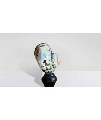 Turbo Sarmaticus Shell 5 —  Decoration Luxury | Maison Imperiale