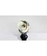 Turbo Sarmaticus Shell 6 —  Decoration Luxury | Maison Imperiale