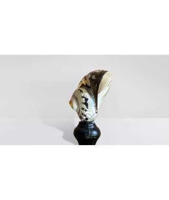 Turbo Sarmaticus Shell 7 —  Decoration Luxury | Maison Imperiale