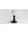 Madagascar Green Turbo Shell 3 —  Decoration Luxury | Maison Imperiale
