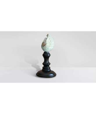 Coquille Turbo Verte du Madagascar 4 —  Décoration Luxury | Maison Imperiale