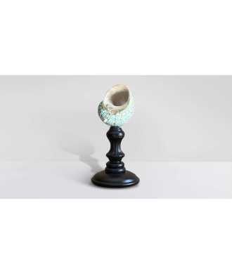 Madagascar Green Turbo Shell 5 —  Decoration Luxury | Maison Imperiale