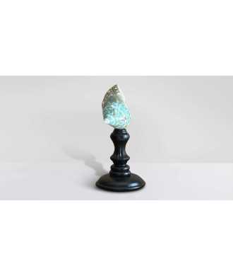Madagascar Green Turbo Shell 6 —  Decoration Luxury | Maison Imperiale