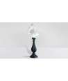 Baroque Tall Murex Ramosus Shell 3 —  Decoration Luxury | Maison Imperiale