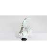 Baroque Tall Murex Ramosus Shell 7 —  Decoration Luxury | Maison Imperiale