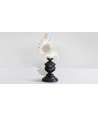 Low Baroque Murex Ramosus Shell 3 —  Decoration Luxury | Maison Imperiale