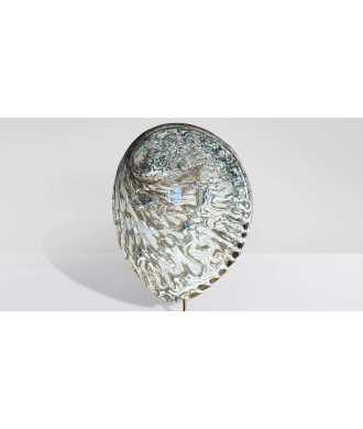 Silver Abalone Midae Shell 4 —  Decoration Luxury | Maison Imperiale