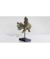 Pesce Oro Sinuoso piccolo 5 — Decorazione Luxury | Maison Imperiale