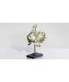 Pesce Oro Sinuoso piccolo 6 — Decorazione Luxury | Maison Imperiale