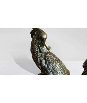Pair of parrots Antique Gold, Brown