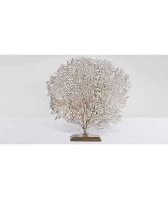 Gorgonia ocra del Madagascar